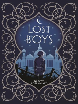 cover image of Lost Boys